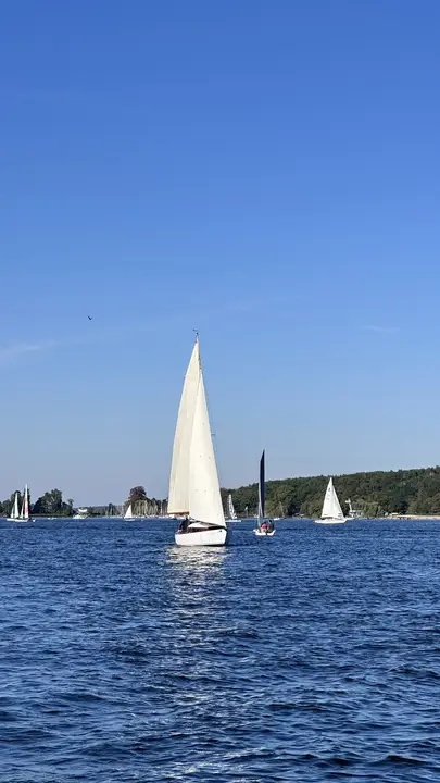 Der Kamerad unter vollen Segeln auf dem blauen Wannsee