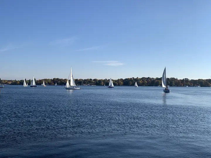 Clubregatta auf dem Wannsee im Herbst