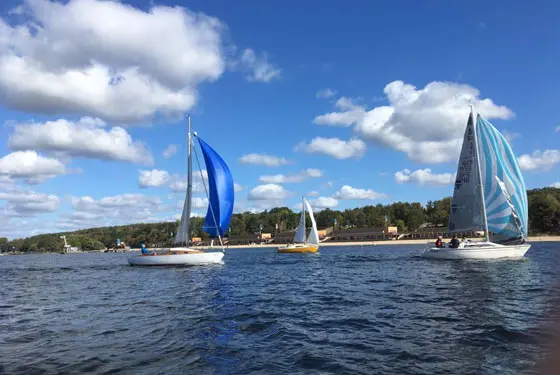 Kielboote mit blauem Spinnaker auf dem Wannsee