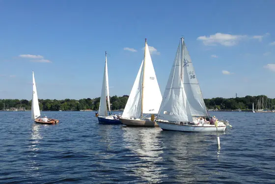 Mehrere Segelboote auf dem Wannsee in Berlin